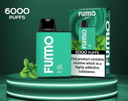 Fresh mint Fumo King 6000pfs