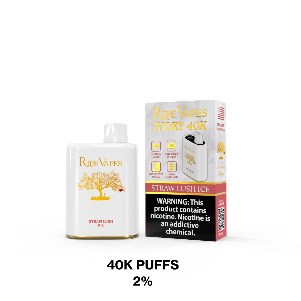 WhatsApp Image 2025-11-03 at 10.46.03 PM